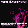 Soulscape - Collective Auditory Hallucination